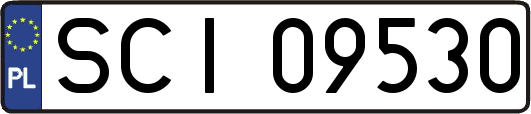 SCI09530