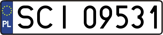 SCI09531