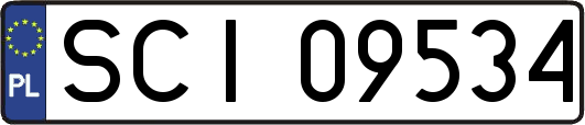 SCI09534
