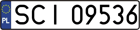 SCI09536