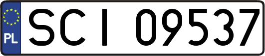 SCI09537
