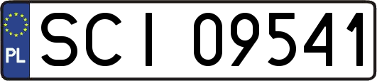 SCI09541