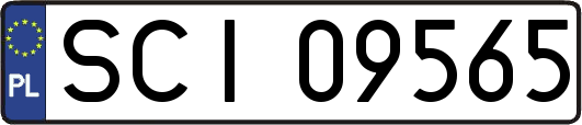 SCI09565