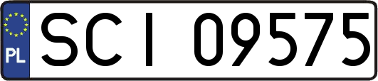 SCI09575