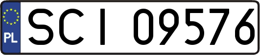 SCI09576