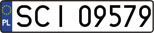 SCI09579