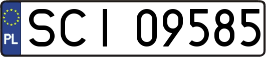 SCI09585