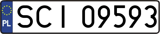 SCI09593
