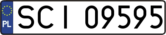 SCI09595