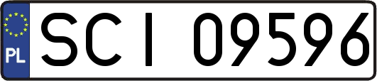 SCI09596