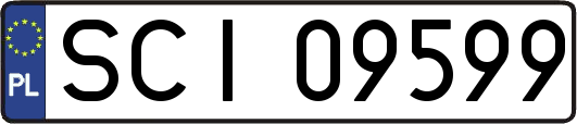SCI09599