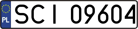 SCI09604
