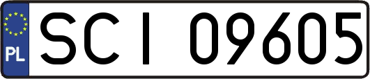 SCI09605