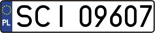 SCI09607