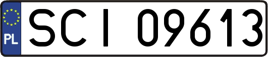 SCI09613