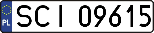 SCI09615
