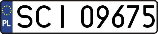 SCI09675
