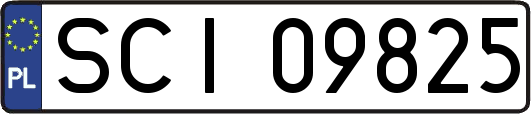 SCI09825