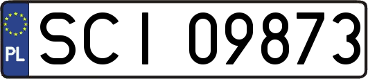 SCI09873