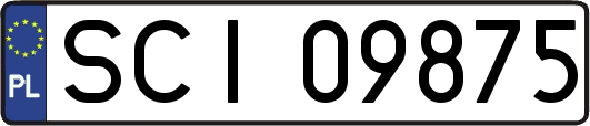 SCI09875