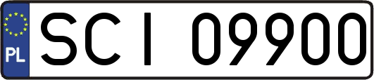 SCI09900