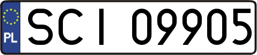 SCI09905