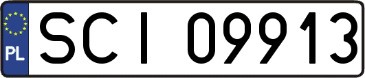 SCI09913