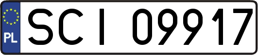 SCI09917