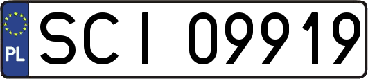 SCI09919