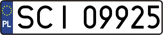 SCI09925
