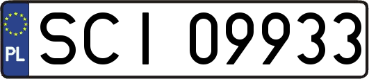 SCI09933