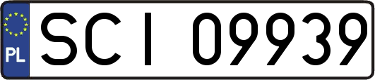 SCI09939