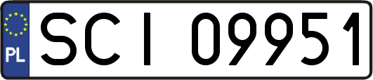 SCI09951