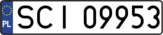SCI09953