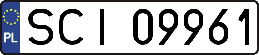 SCI09961