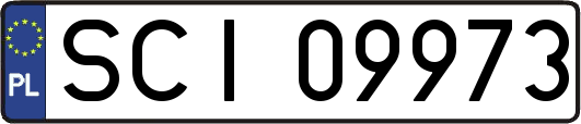 SCI09973