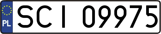 SCI09975