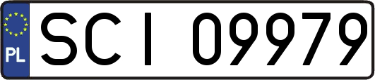 SCI09979