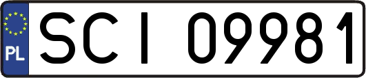 SCI09981