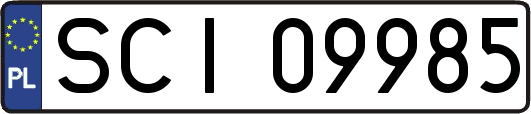 SCI09985