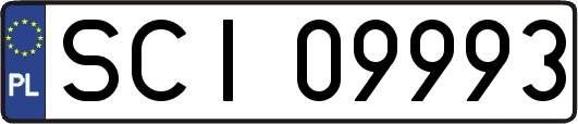 SCI09993