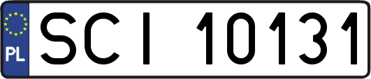 SCI10131