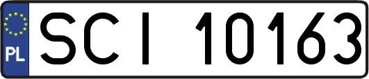 SCI10163