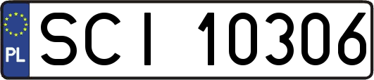 SCI10306