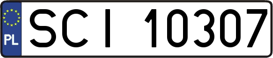 SCI10307