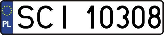 SCI10308