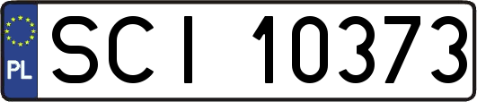 SCI10373