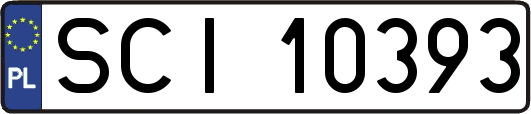 SCI10393