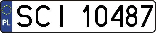 SCI10487