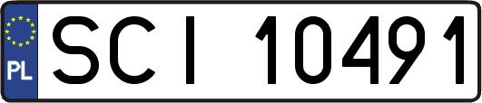 SCI10491